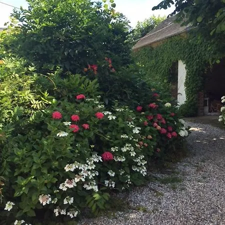 Le Chateau Du Ronchay * Luneray